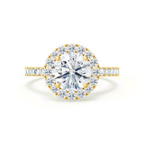CECILY - Round Lab Diamond 18k Yellow Gold Shoulder Set Ring Engagement Ring Lily Arkwright