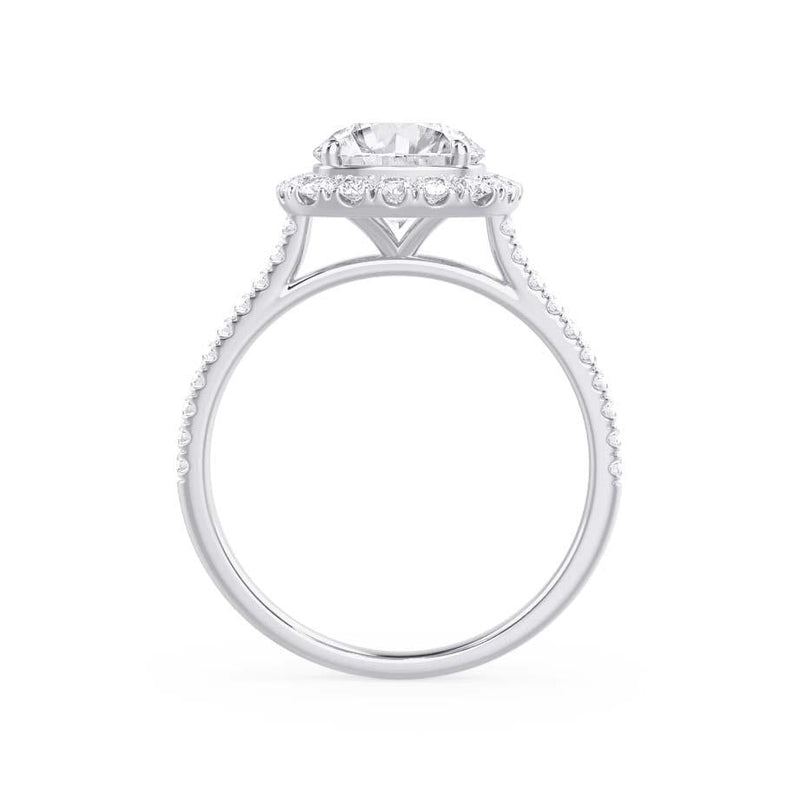 DARLEY - Elongated Cushion Lab Diamond Platinum Halo Engagement Ring Lily Arkwright